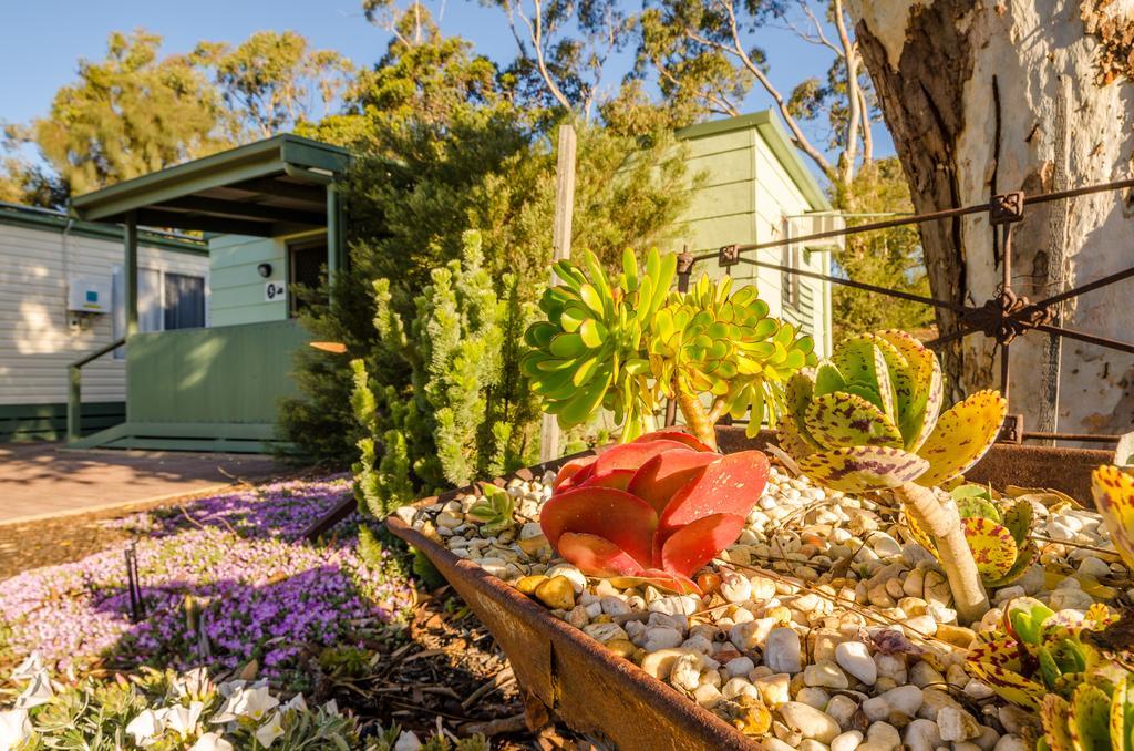 Hotel Lake Albert Caravan Park Meningie Esterno foto